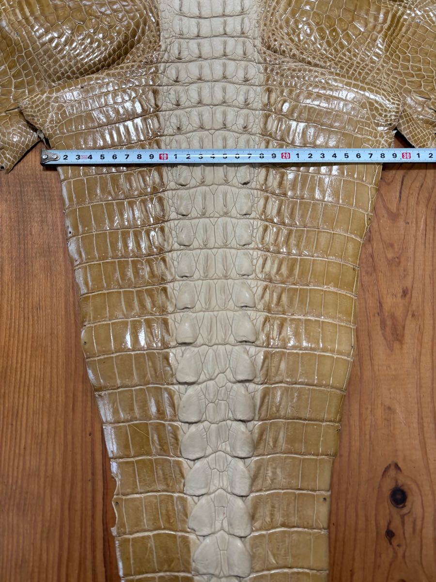 1円スタート！　売り切り　クロコダイル　ホーンバック　ベージュ　クリーム色　ワニ革　横幅44cm レザークラフト　革細工　国内生産_7