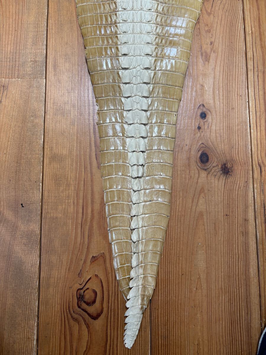 1円スタート！　売り切り　クロコダイル　ホーンバック　ベージュ　クリーム色　ワニ革　横幅44cm レザークラフト　革細工　国内生産_8