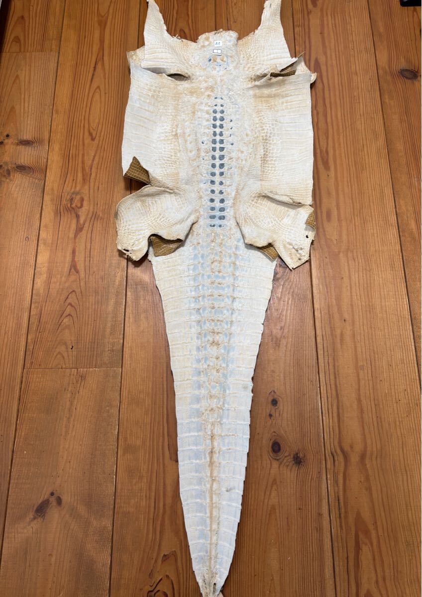 1円スタート！　売り切り　クロコダイル　ホーンバック　ベージュ　クリーム色　ワニ革　横幅44cm レザークラフト　革細工　国内生産_9