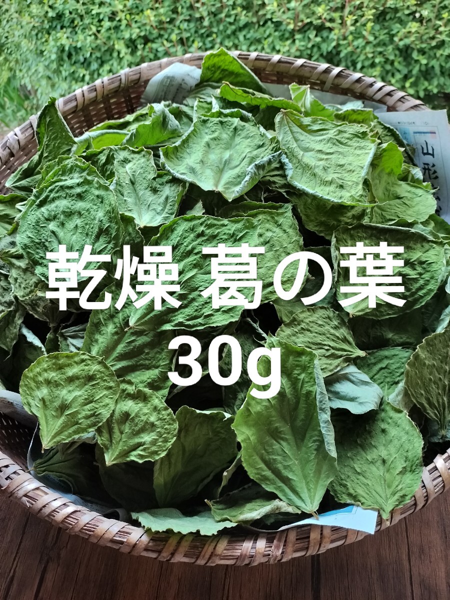 山形県産 乾燥 葛の葉 30g_1