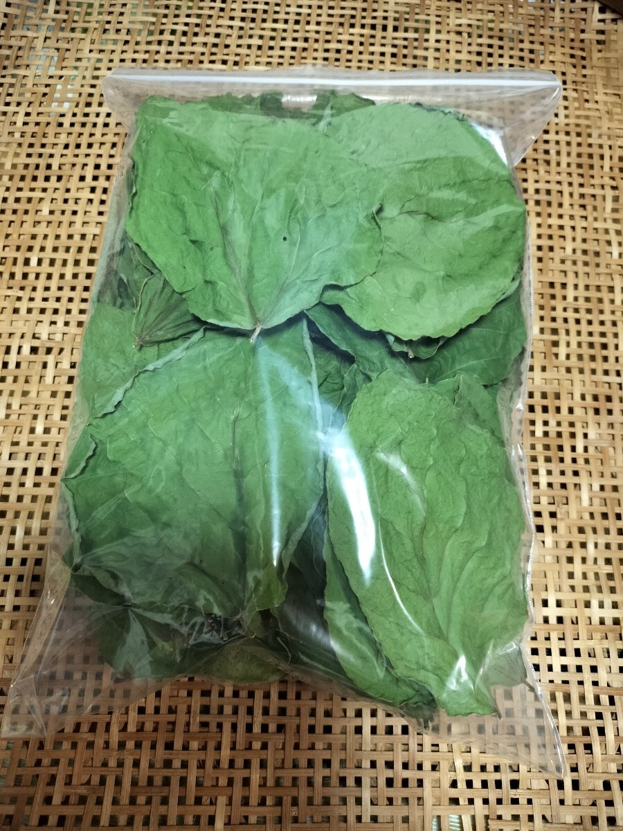 山形県産 乾燥 葛の葉 30g_3