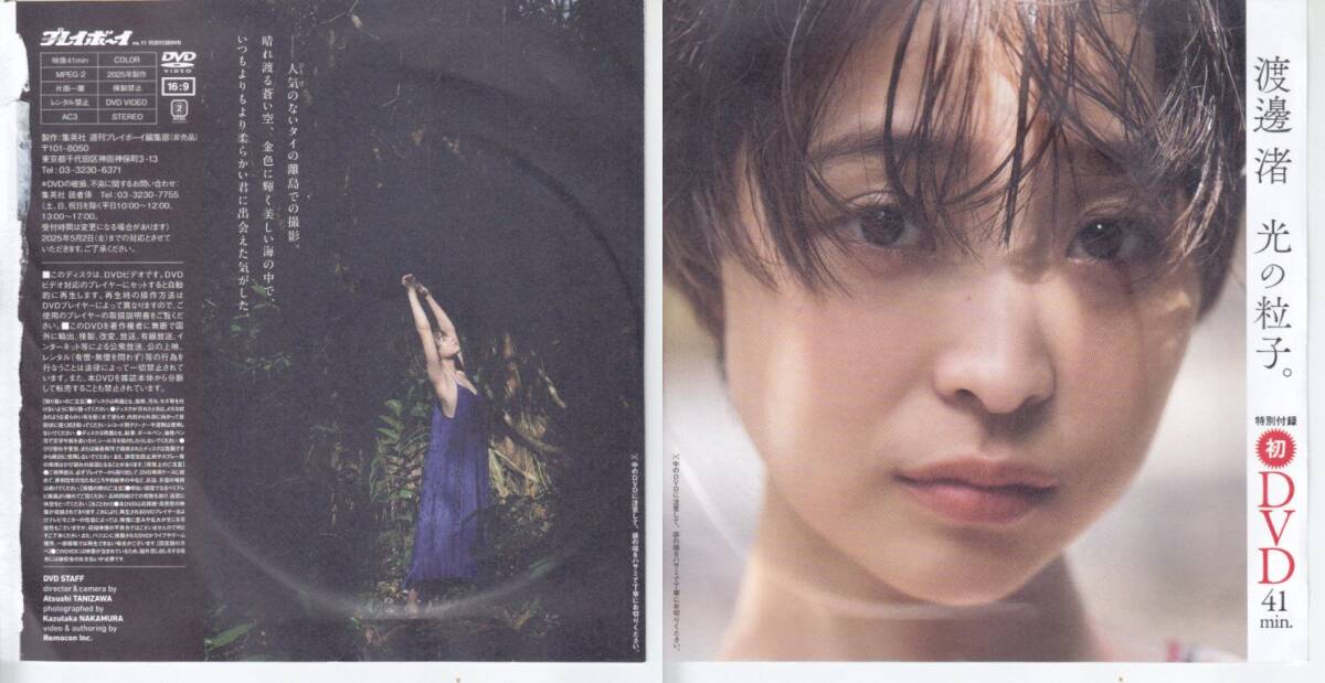 渡邊渚(元フジテレビアナウンサー) 週プレ付録DVD「光の粒子。(未開封