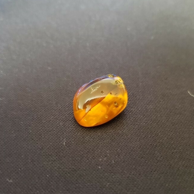 虫入り琥珀 ビルマ琥珀 ミャンマー産 コハク 白亜紀 昆虫 アンバー 標本 No.28_3