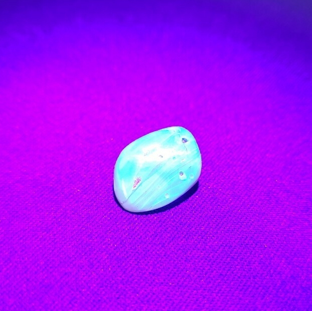 虫入り琥珀 ビルマ琥珀 ミャンマー産 コハク 白亜紀 昆虫 アンバー 標本 No.28_4