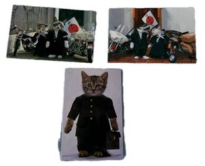 懐かしい　レア物　「なめんなよ」カードケース　カード３枚 なめ猫 カードの値段と価格推移は？｜29件の売買データからなめ猫