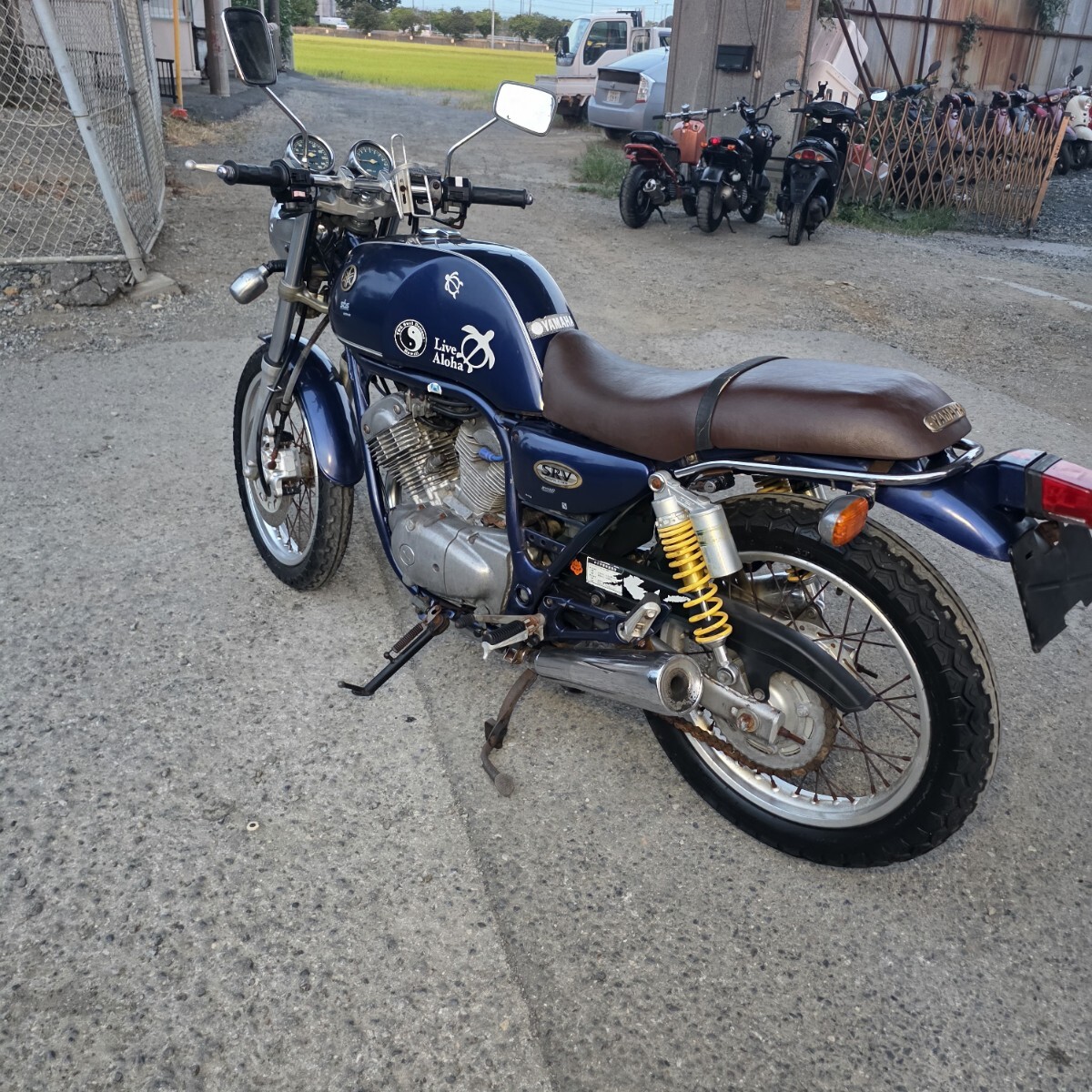 ヤマハ 4DN型モデルSRV250 書類無 XJR ZRX ゼファー ホーネット NSR CBR CB_6