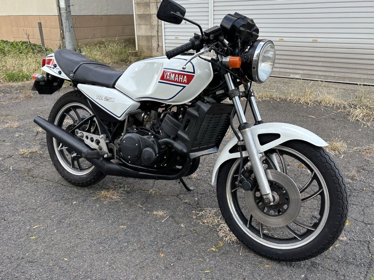 RZ250の情報