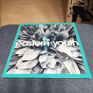 イースタンユース レコードの値段と価格推移は？｜6件の売買データから