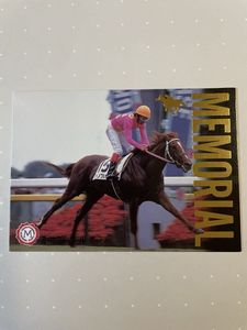 サラブレッドカードの値段と価格推移は？｜459件の売買データから