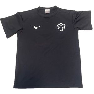 日体大 MIZUNO 半袖Tシャツ レディース サイズM