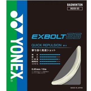 BGXB65/ガット張り