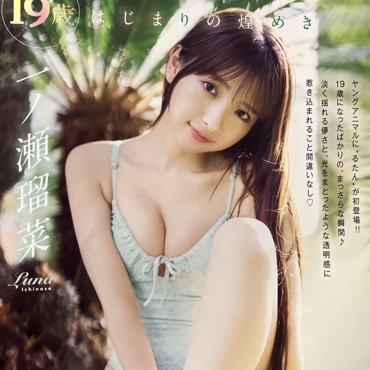 一ノ瀬瑠菜 直筆サイン入りチェキ ヤングアニマル 一ノ瀬瑠菜 直筆サイン入りチェキ プレゼント応募券3