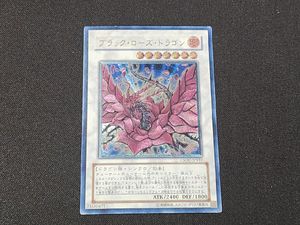 遊戯王ブラック ローズの値段と価格推移は？｜40件の売買データから