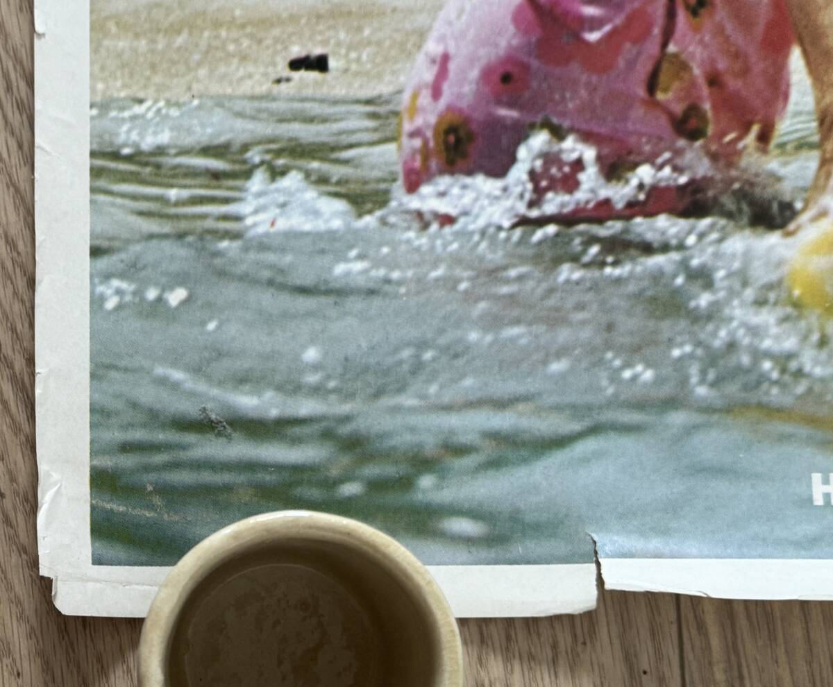 1円オークション VTG 1960/70s Meet the golden Peple of Hawaii