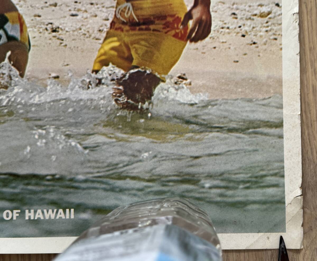1円オークション VTG 1960/70s Meet the golden Peple of Hawaii