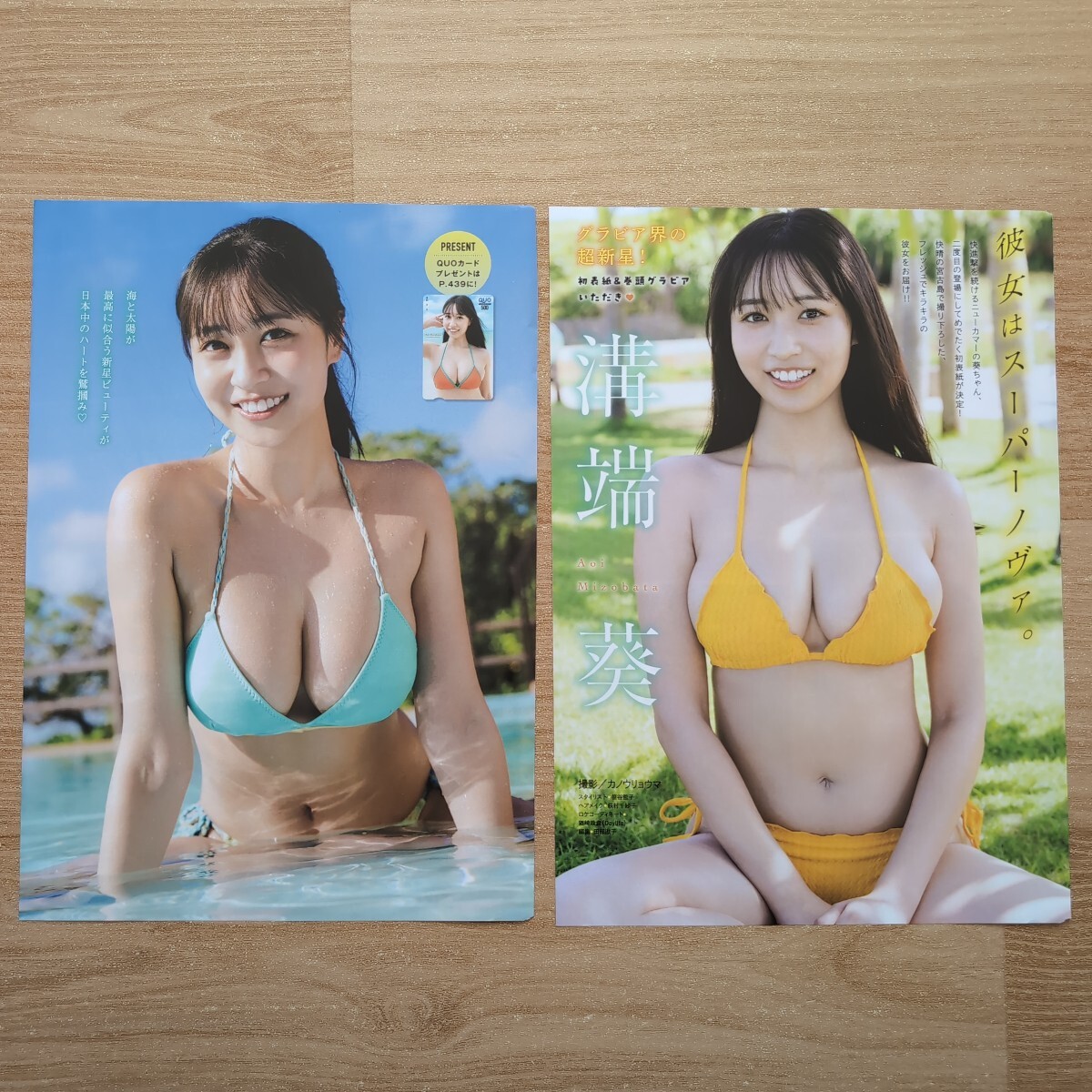 雑誌 切り抜き 36ページ 溝端葵 少年チャンピオン ヤングマガジン 週刊