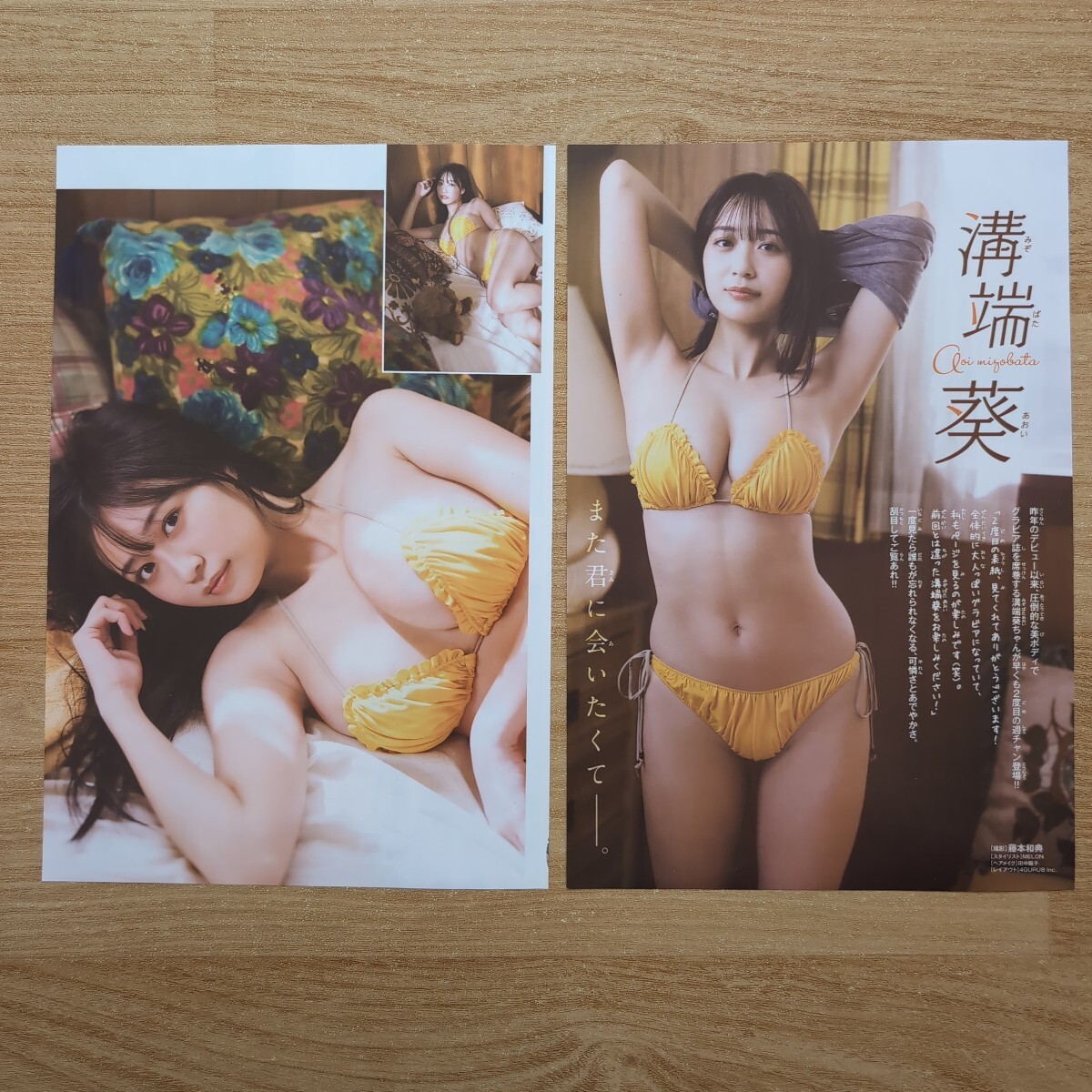 雑誌 切り抜き 36ページ 溝端葵 少年チャンピオン ヤングマガジン 週刊