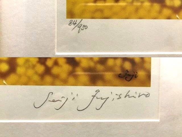蔵出】☆真作 藤城清治 Seiji Fujishiro『日本の愛唱歌 12ヶ月 朧月夜