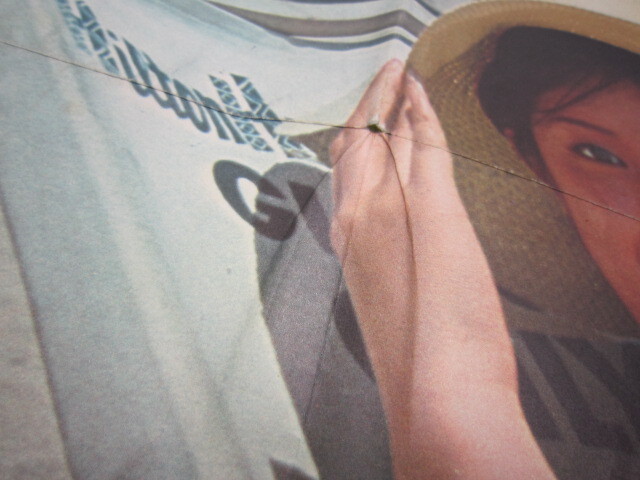 近代映画 1971年7月号 付録 酒井和歌子 水着 ポスター 裏面 にしきの