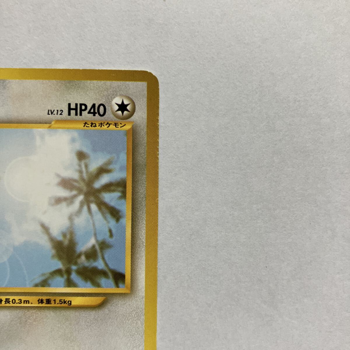 ポケモンカード トゲピー ANAスペシャル2000バージョン 旧裏 プロモ