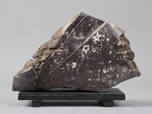 門司梅花石の値段と価格推移は？｜2件の売買データから門司梅花石の