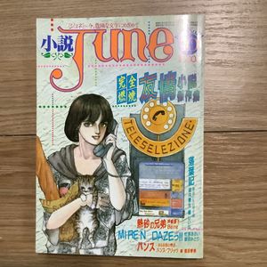 小説JUNEの値段と価格推移は？｜3件の売買データから小説JUNEの価値が