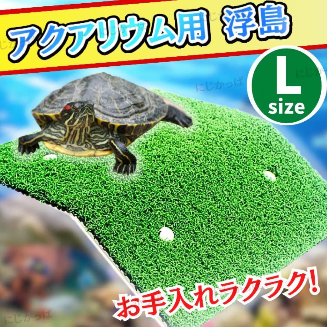 ミドリガメの値段と価格推移は？｜5件の売買データからミドリガメの