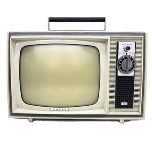 SHARP ブラウン管テレビの値段と価格推移は？｜13件の売買データから