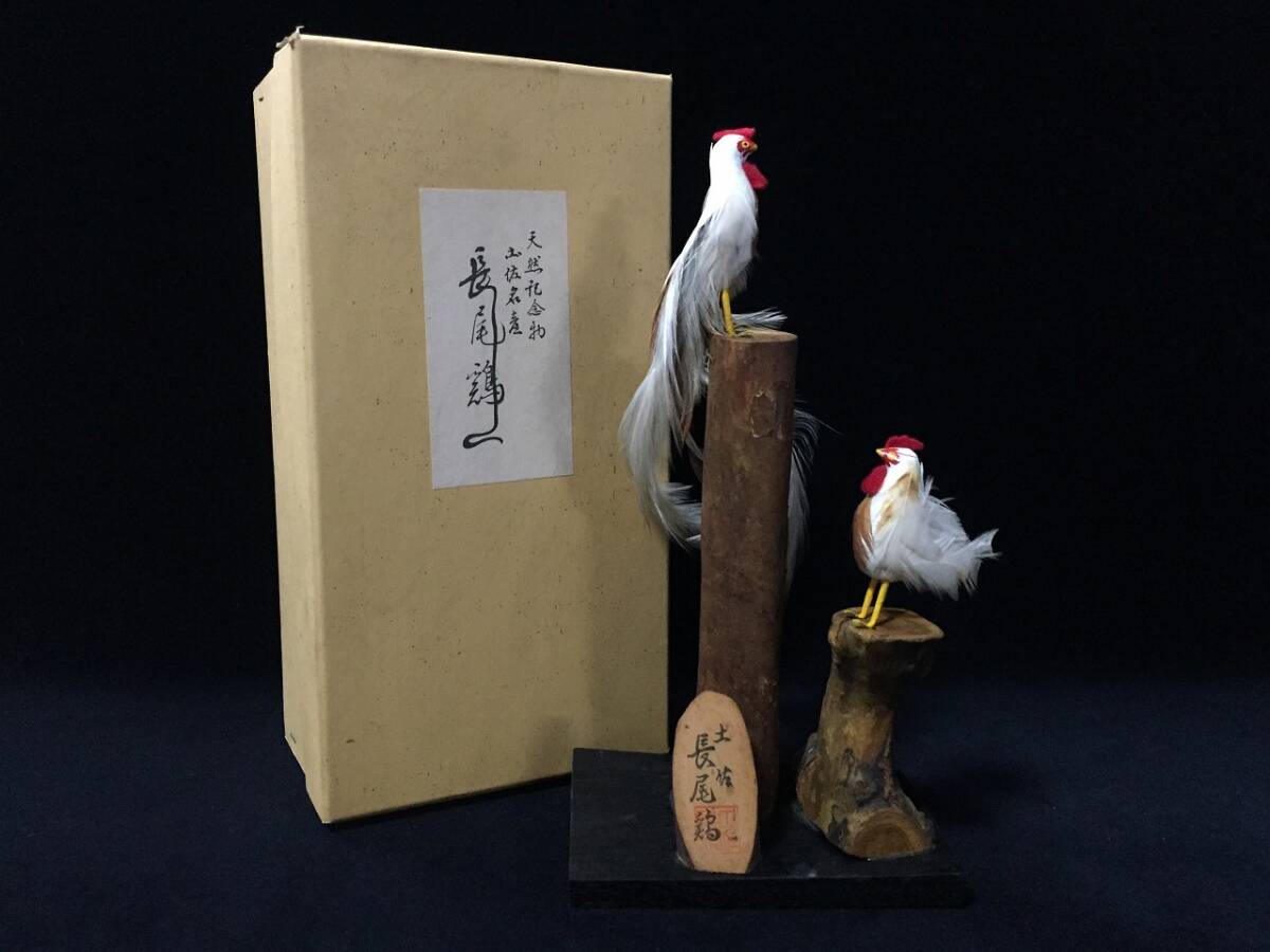 鳥 剥製の値段と価格推移は？｜3件の売買データから鳥 剥製の価値が