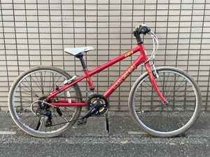 ルイガノLOUISの値段と価格推移は？｜3件の売買データからルイガノ