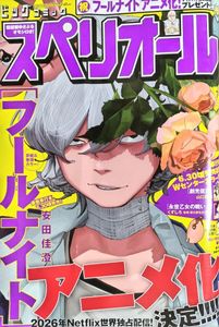 漫画、コミック 美品☆小学館 ビッグコミックス 安田佳澄 フールナイト