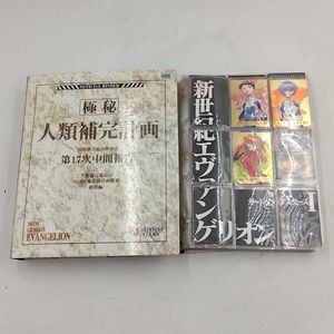 人類補完計画の値段と価格推移は？｜2件の売買データから人類補完計画