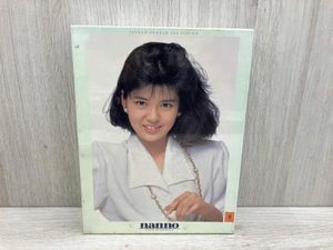 南野陽子ジグソーパズル 南野陽子 パズルの値段と価格推移は？｜3件の売買データから南野陽子
