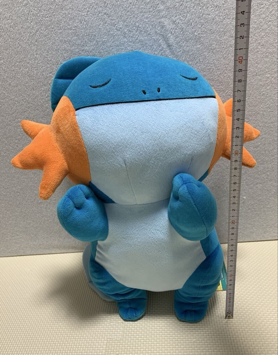 ミズゴロウぬいぐるみの値段と価格推移は？｜3件の売買データから