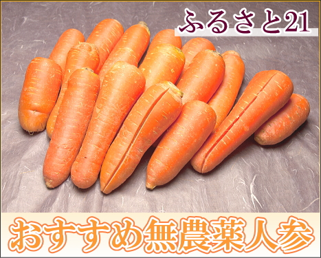 【送料無料】ふるさと21おすすめ無農薬人参 訳あり品10kg 産直_1