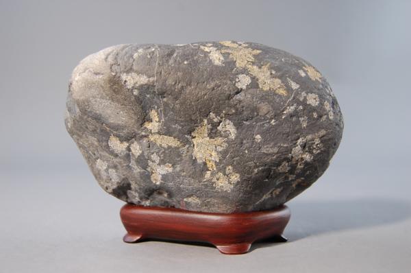 鑑賞石 渡良瀬川石 桜石（黄金） 自然石（ 水石 鑑賞石）ID3086(盆栽)｜売買
