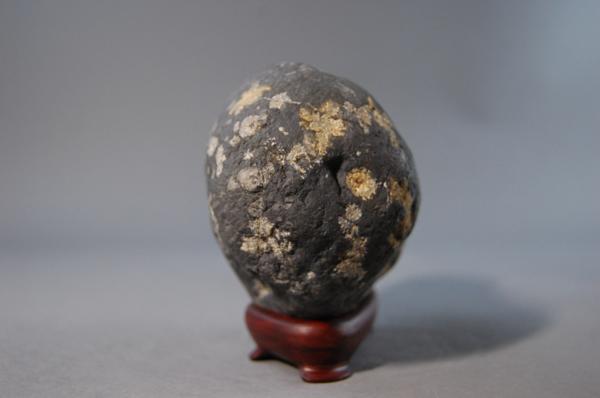 鑑賞石 渡良瀬川石 桜石（黄金） 自然石（ 水石 鑑賞石）ID3086(盆栽)｜売買