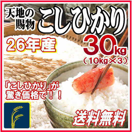 天地の賜物コシヒカリ　30kg(10kg×3)　 白米　26