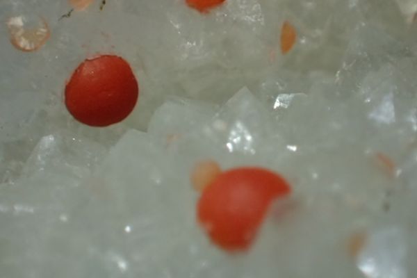 丸型フローライト・水晶 – 天然石ハッピーギフト インド産 赤蛍光 