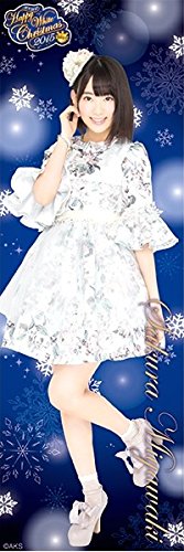 AKB48 【 宮脇咲良 】 2015 クリスマス 全身タペストリー 宮脇咲良