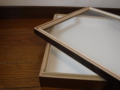 ドイツ型標本箱（中古） ドイツ型標本箱です 【公式通販】
