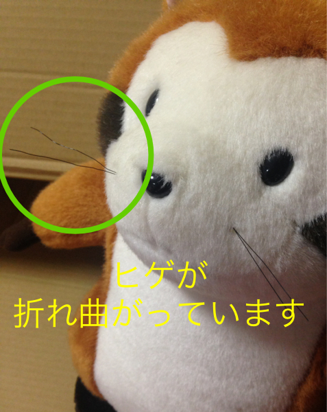 あらいぐまラスカル ぬいぐるみ 世界名作劇場 サンライク 大きめ 特大