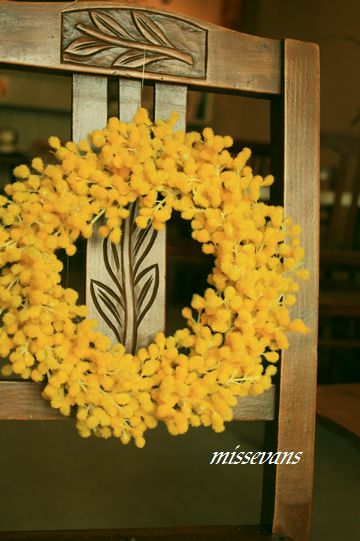 王道の春告げ花　『みもざ』のリース