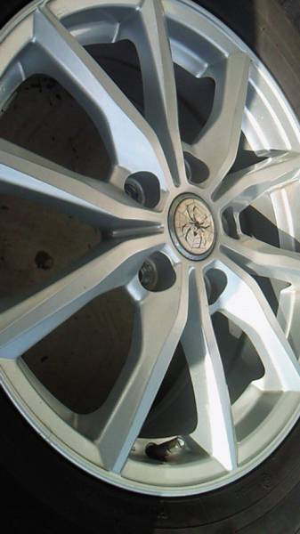 マナレイ ユーロスピード スパイダー5 RB1 オデッセイ☆