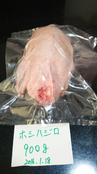 とれたて 天然鴨 ホシハジロ900グラム