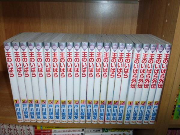 【即決】◆戸川視友「王のいばら（全17巻＋外伝5冊）」