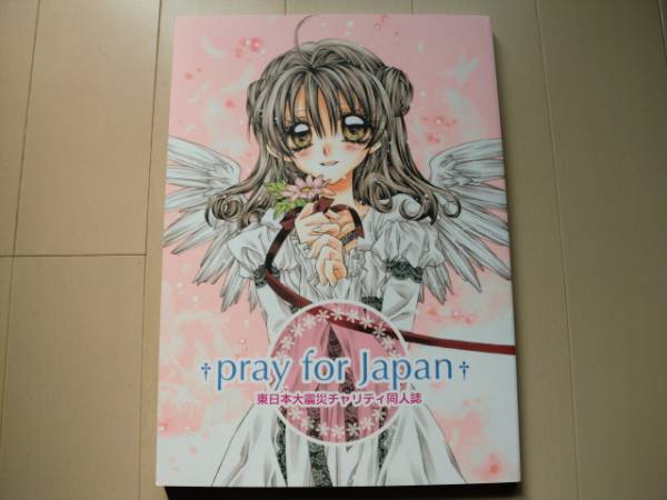 チャリティ同人誌 Pray For Japan 種村有菜 中川翔子 のだめ イラスト集 原画集 売買されたオークション情報 Yahooの商品情報をアーカイブ公開 オークファン Aucfan Com