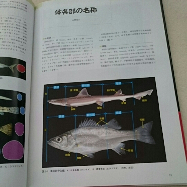 新魚類解剖図鑑』4点送料無料木村清志定価15000円 | 新魚類
