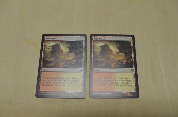 MTG 乾燥台地/Arid Mesa 2枚 MTG】乾燥台地 / Arid Mesa 英語2枚② おもちゃ、ゲーム Magic: The