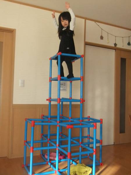 超たのしい★巨大ジャングルジム★お買い得★ジャンク★物干し可